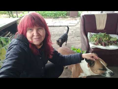 Видео: КРИВИЙ РІГ 12 ЛИСТОПАДА 2025.ЗАМОВИЛА МЕБЛІ ТА ЩЕ Й СКУПИЛАСЬ ДОБРЕ.РОБОТИ ЩЕ КУПА,ДОЩІ,СВІТЛА НЕМАЄ