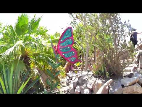 Видео: Эйлат "Ботанический сад"-אילת הגן הבוטני-Eilat Botanical garden