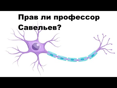 Видео: Прав ли профессор Савельев?