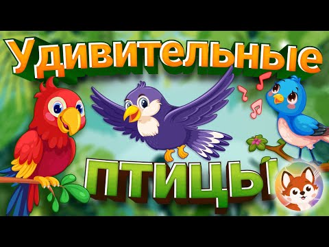 Видео: Про птиц детям. Викторина с видео. Расширяем словарный запас ребенка. Часть 1. Удивительные птицы.