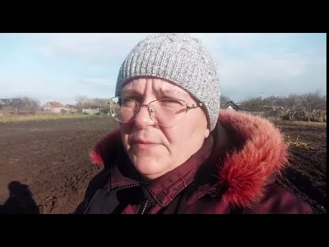 Видео: ПАШЕМ ОГОРОД // СОБИРАЮ КАРТОШКУ // НАПЕРЕГОНКИ С МУЖЕМ // ВМЕСТЕ ВЕСЕЛО ШАГАТЬ ПО ОГОРОДУ !