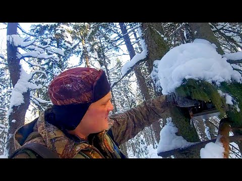 Видео: Цена на пушнину? Куда сдать? Сломал лыжи на охоте!