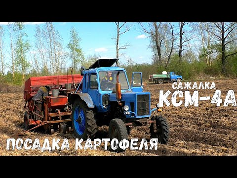 Видео: Трактор МТЗ-80 с картофелесажалкой КСМ-4. Её можно загружать самосвалом. Посадка картофеля.