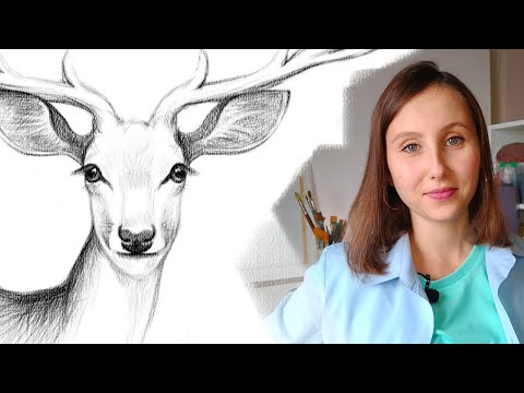 Видео: Как нарисовать оленя карандашом для начинающих