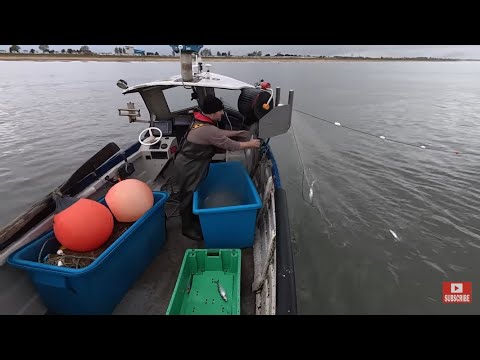 Видео: Дрифтовая ловля сельди одной рукой. Последний прилив и первый отлив. Морская рыбалка с лодки.