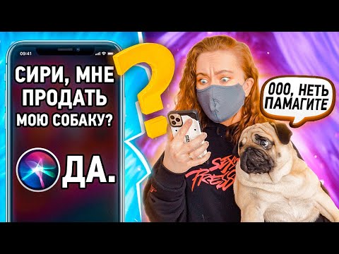 Видео: SIRI УПРАВЛЯЕТ МНОЙ 24 ЧАСА