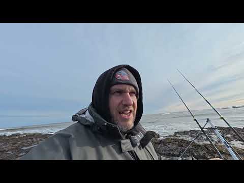 Видео: Автопутешествие на охоту за треской на северо-востоке!