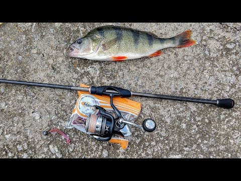 Видео: Shimano Soare CI4+17 S900MS.Спортивный дальнобойный лайт под окуня.