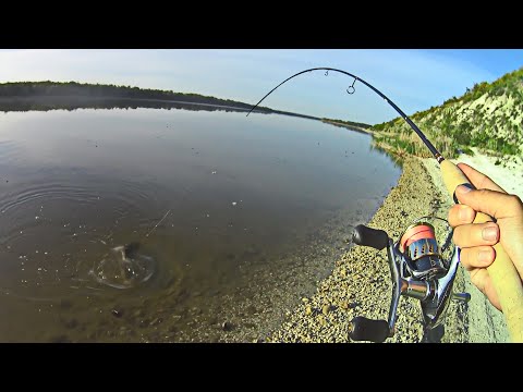 Видео: Вот это съездил НА РЫБАЛКУ с женой! Отдых и ловля на спиннинг на реке Дон