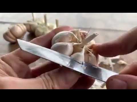 Видео: саримас гэрийн аргаар тарих