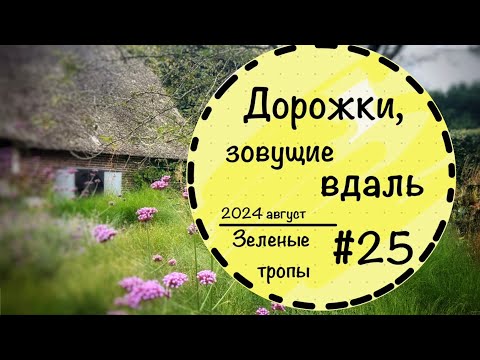 Видео: #25☘️Частный сад в Нидерландах ☘️Зоны отдыха☘️ Зонирование участка☘️