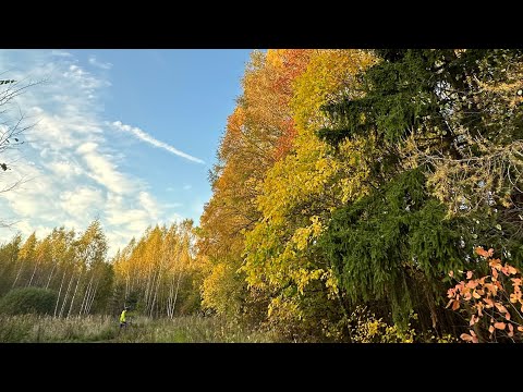 Видео: Любимый маршрут