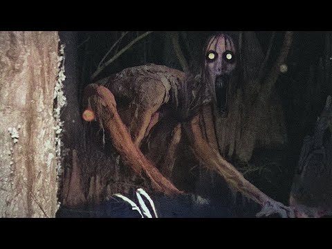 Видео: Луизианский болотный монстр. История, которую лучше не знать