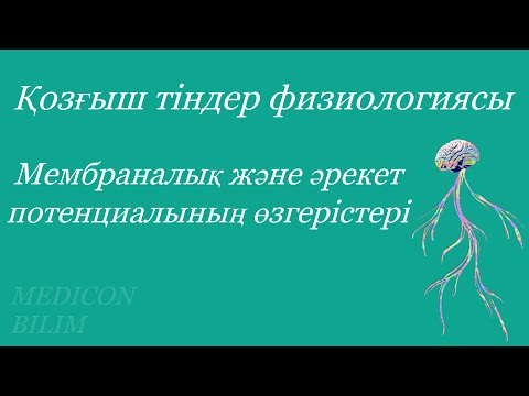 Видео: Тыныштық және әрекет потенциалдарының өзгерістері | Физиология курсқа тіркелу👇