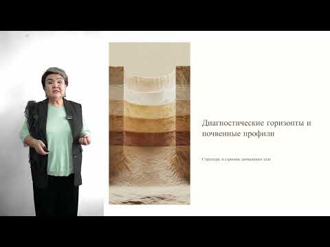 Видео: Жаппарова А Лекция 8. Генезис и географическое распространение почв
