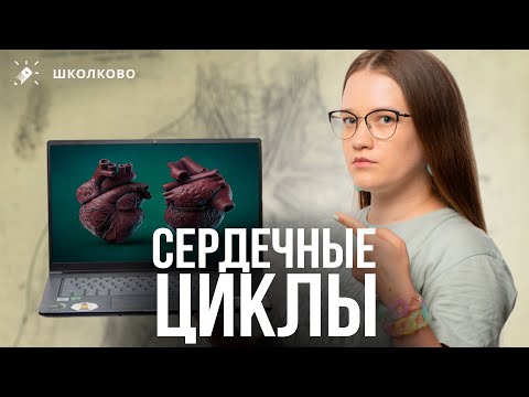 Видео: Страшная картинка сердечного цикла из ЕГЭ по биологии!