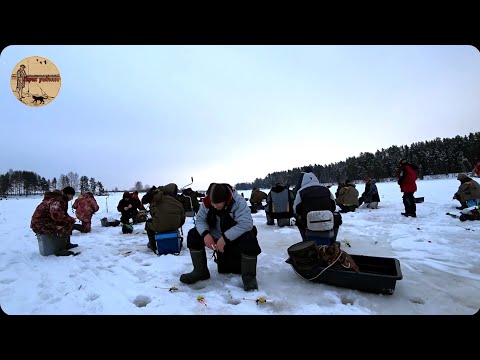 Видео: Тысячи рыбаков и у всех клюёт.Уникальные подводные кадры. Рыбалка на малой реке. fishing,bushcraft,