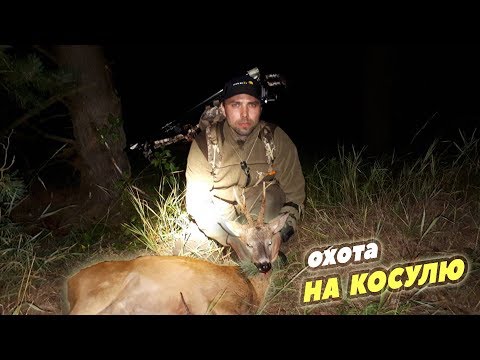 Видео: Охота на косулю с луком. Открытие охоты. #Путьбоухантера #MainHunter