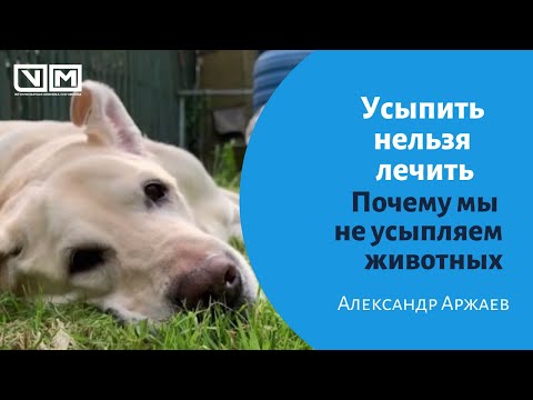 Видео: Усыпить нельзя лечить! Почему мы не усыпляем животных