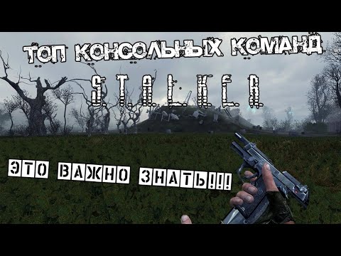 Видео: ВАЖНЫЕ КОНСОЛЬНЫЕ КОМАНДЫ В S.T.A.L.K.E.R.