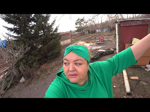 Видео: ДАЧНЫЙ ВЛОГ/ПЕРВЫЕ ЭМОЦИИ ОТ ДАЧИ/МЫ БОЯЛИСЬ УВИДЕТЬ СТРАШНОЕ/САНЮ ОТПУСТИЛО НАКОНЕЦ/ЗАЙЦЫ НАЕЛИСЬ