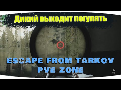 Видео: Дикая охота на лут | Escape from Tarkov PVE Zone | День 10