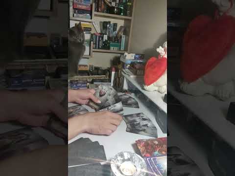 Видео: КАК ПРОЙДЁТ ВСТРЕЧА С ЗАГАДАННЫМ МУЖЧИНОЙ⁉️ #таросчастливойсудьбы #перемены