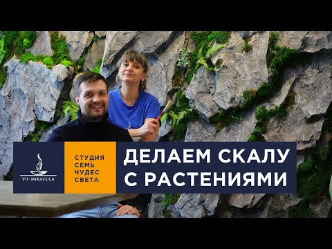 Видео: ПРОЕКТ Фитостена в интерьере с декоративной скалой