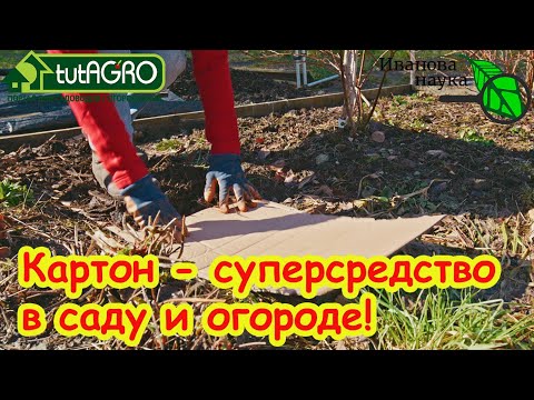 Видео: НЕ ВЫБРАСЫВАЙТЕ КАРТОН и ДВП! Картон - оружие против СЛИЗНЕЙ, СОРНЯКОВ и ГНИЛЕЙ!