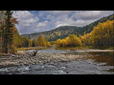 Видео: ХОЖДЕНИЕ ЗА УГРЮМ РЕКУ И ТАЕЖНЫЙ ПРОМЫСЕЛ