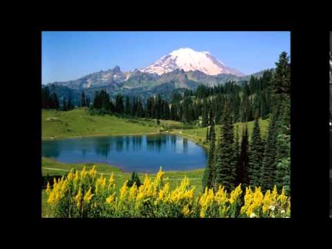 Видео: Ради-Не pазливай Hайле студна вода