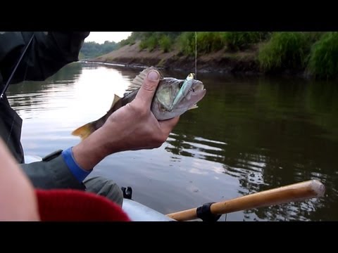 Видео: Tsuribito Pencil 60 уокер ловля окуня