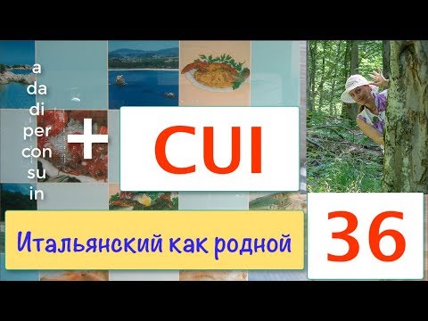 Видео: Вот такой итальянский CUI получается – Итальянский как родной – 36