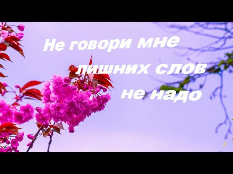 Видео: Не говори мне лишних слов не надо