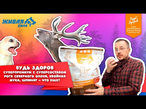 Видео: Нашли много интересного в корме для собак Будь здоров! Обзор корма для собак от команды Живая сила.