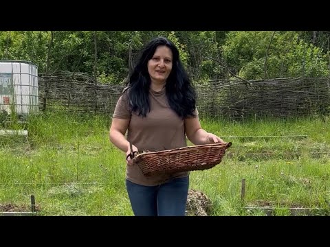 Видео: Живот на село. Запознайте се с моите растения!