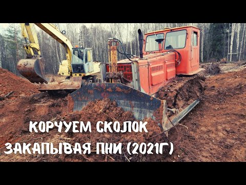 Видео: Корчуем сколок закапывая пни (2021г)