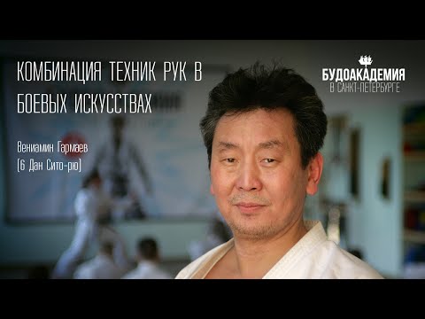 Видео: Комбинация техник рук в боевых искусствах. Вениамин Гармаев