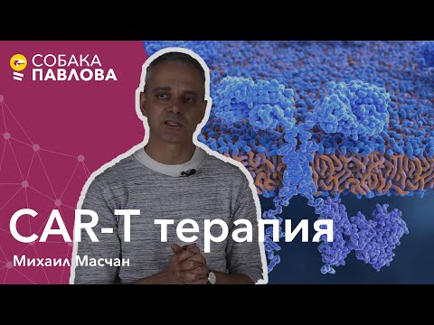 Видео: CAR-T терапия - Михаил Масчан // клеточная терапия, лимфоциты, лимфобластный лейкоз
