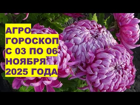 Видео: Что Важно Сделать в Саду и на Огороде с 3 по 6 ноября 2025?