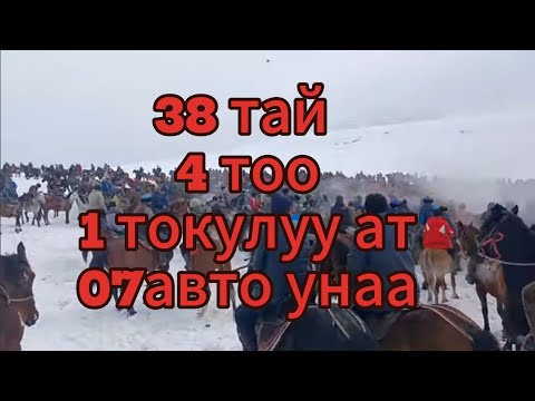 Видео: 24.02.2024.Ноокат району Чеч добо айылы чон аламан улак