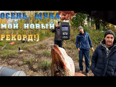 Видео: Рыбалка на щуку осенью 2025!