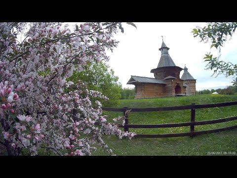 Видео: Прогулка в парке Коломенское, часть 1 (A walk in the park Kolomenskoye, part 1) // 2017