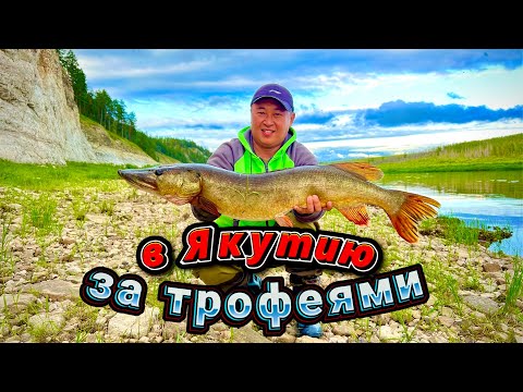 Видео: [4k] Якутия Вот это рыбалка Река Амга дарит трофеи Как поймать щуку / Yakutia big fish