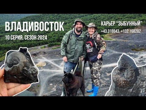 Видео: Владивосток - аммониты для всех. Сезон 2024. 10 серия.