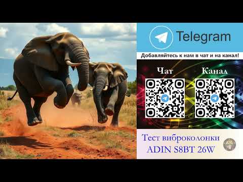 Видео: 511. Ответ шумным соседям. Топот слонов