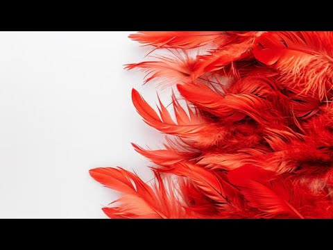 Видео: 🔴 Памяти Владимира Шклярова и Евгения Кунгурова БЕЗ ВИНЫ ВИНОВАТЫЕ