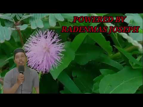 Видео: Эрталаб тингланг Ризқ Барака Бойлик Омад Учун дуо кун давомида