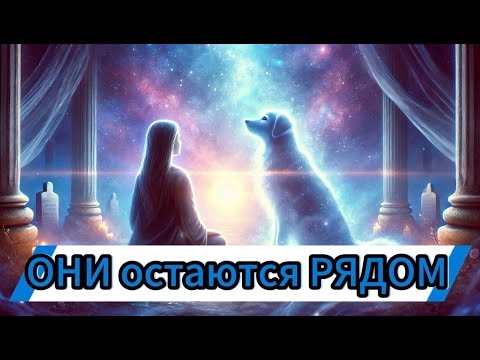 Видео: Тайны ушедших питомцев: их души всегда рядом? Мистическая связь, которая длится  за гранью жизни!