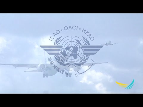 Видео: Авиационная безопасность